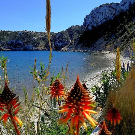빌라 Boho Ibiza Style *